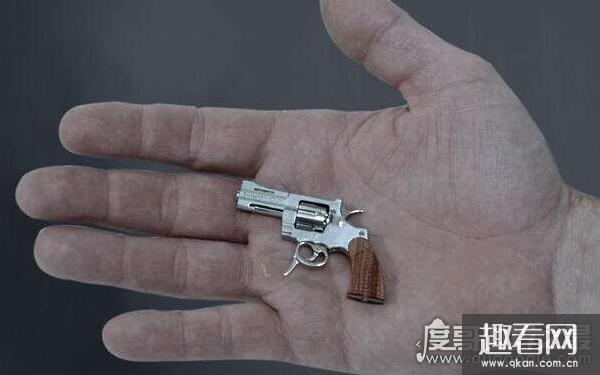 世界上最小的左轮，世界上最小的枪是什么（瑞士迷你手枪）