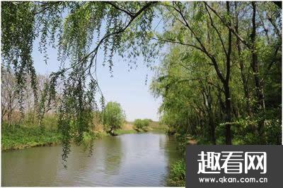 上海十大公园排名 上海十大公园排名百度