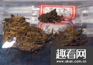 世界上最古老的茶叶，汉阳陵出土陪葬文物 皇帝陪葬品
